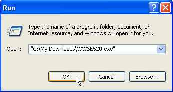 This figure shows the Windows run dialog box with the full path and file name of the downloaded WorkWORLD executable.