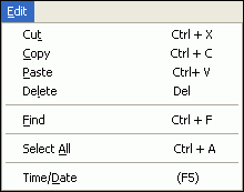 Screenshot of Edit item on Case Notes menu bar, showing resulting drop down menu choices of Cut, Copy, Paste, Delete, Find, Select All, and Time/Date.