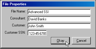 Screenshot of File Properties combo box showing text input areas for File Name, Consultant, Customer, and Customer SSN, with focus and mouse pointer on Okay button.