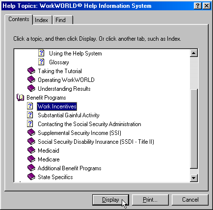 Screenshot of Help Topics window in WorkWORLD Help/Information system with Contents tab selected, showing hierarchical tree view of contents and one page highlighted, with focus and mouse pointer on Display button.