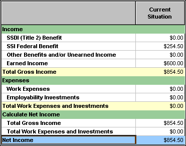 Screenshot of SSI/DI Numeric Results table from WorkWORLD, with sections for Income, Expenses, Calculate Net Income, and the bottom line of SSI/DI Net Income.  The table has details for one situation, labeled Current Situation.  It shows Total Gross Income of $854.50, Total Work Expenses and Investments of zero, and SSI/DI Net Income of $854.50.